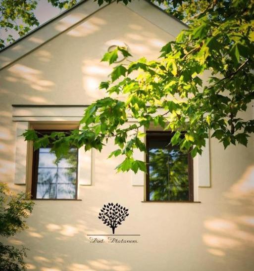 Szafirowy Dwor Hotel & Restauracja Гливице Екстериор снимка