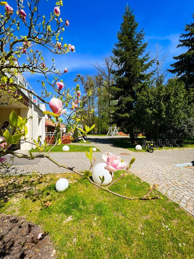 Szafirowy Dwor Hotel & Restauracja Гливице Екстериор снимка